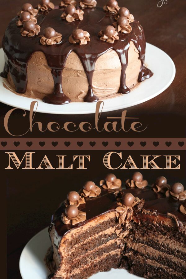 Chocolate Malt Cake With Chocolate Malt Icing | Favorite Family Recipes