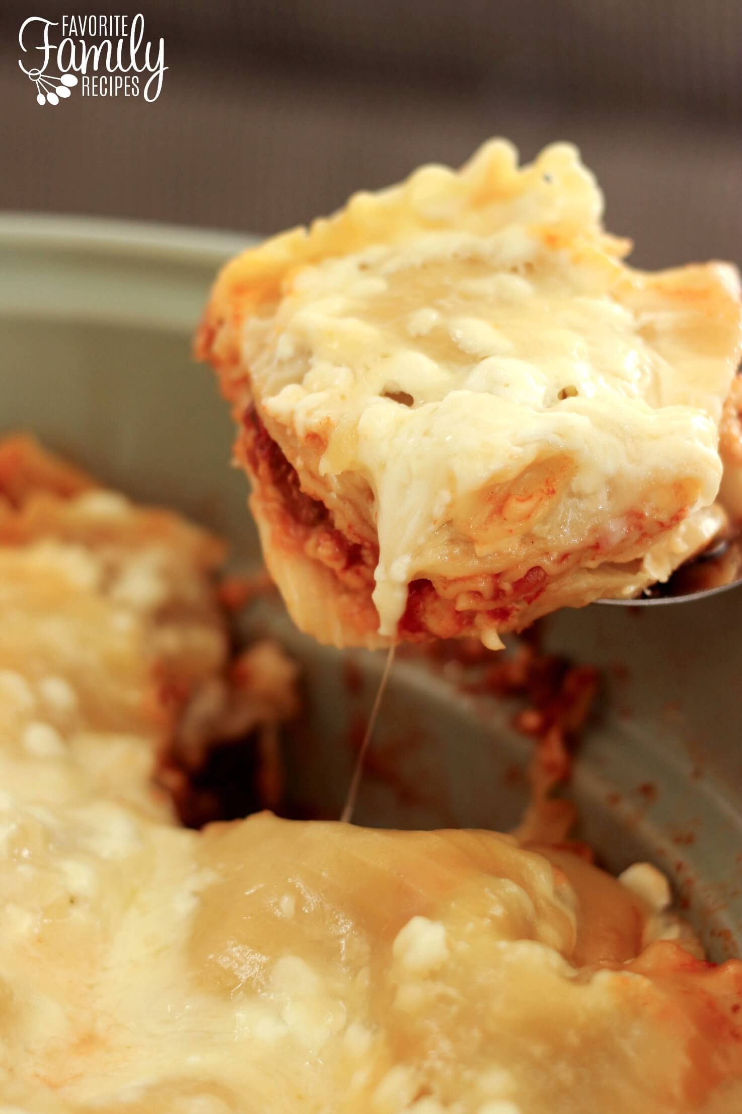 Slow Cooker Lasagna Favorite Family Recipes