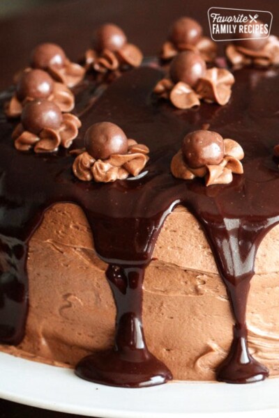 Chocolate Malt Cake With Chocolate Malt Icing 9406