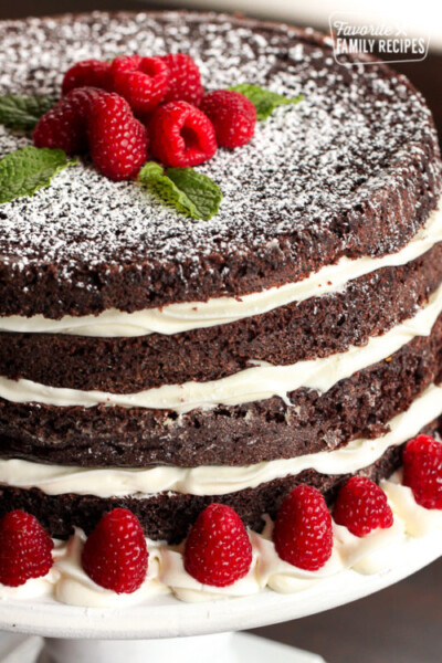 Ridiculously Delicious Chocolate Cake | Favorite Family Recipes