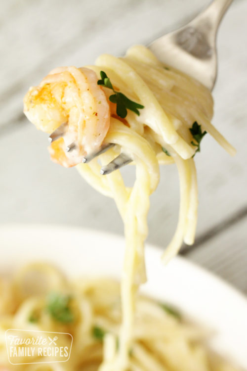 Close up of shrimp Alfredo on a fork.