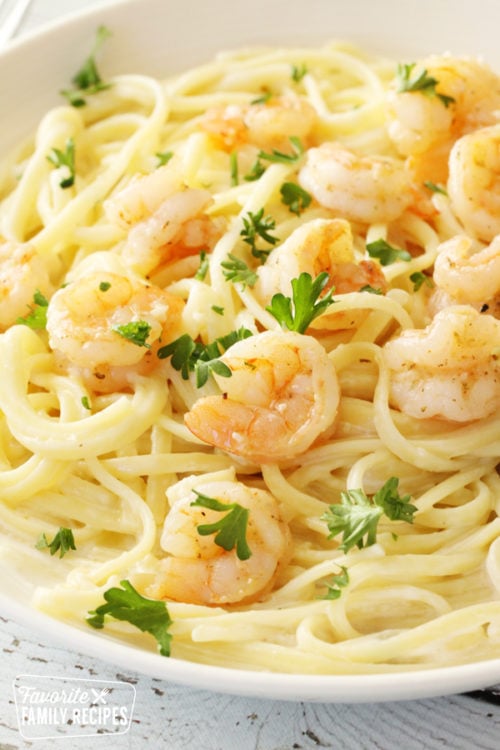 Easy Shrimp Alfredo Pasta | Favorite Family Recipes