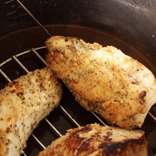 Instant pot chicken best sale breast for chicken salad