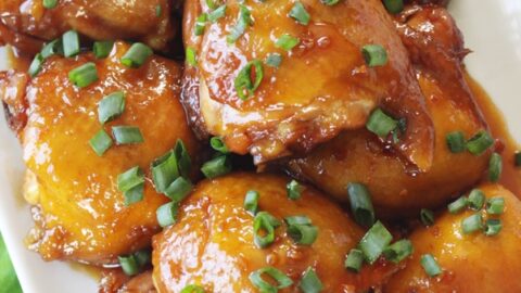 Shoyu chicken instant online pot frozen