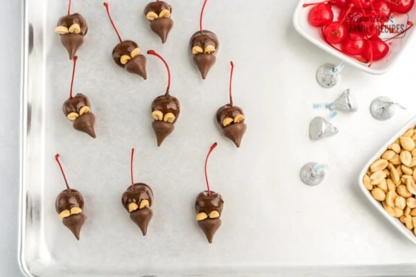 Chocolate Cherry Mice Candies Favorite Family Recipes