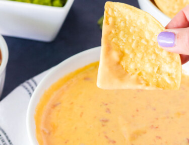 Hand holding a dipped tortilla chip over a bowl of Nacho Cheese Dip. Chips and guacamole on the side.