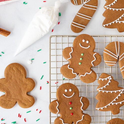 https://www.favfamilyrecipes.com/wp-content/uploads/2022/11/Decorated-Gingerbread-Cookies-500x500.jpg