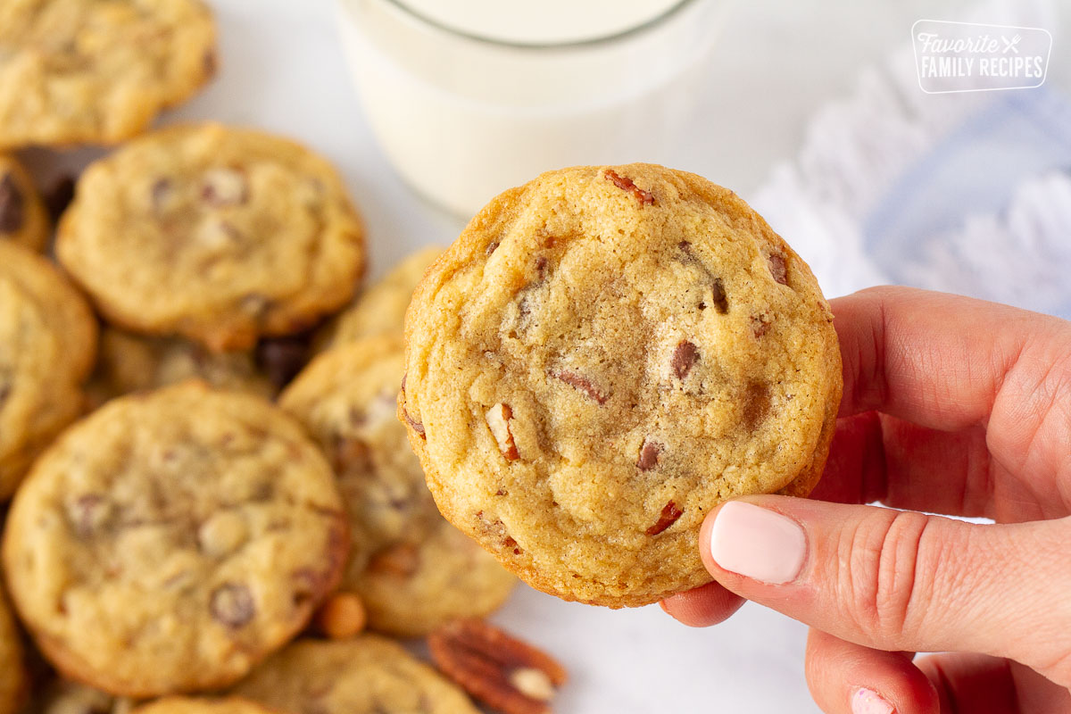 Hand holding a Turtle Cookie over a lot of cookies and milk.