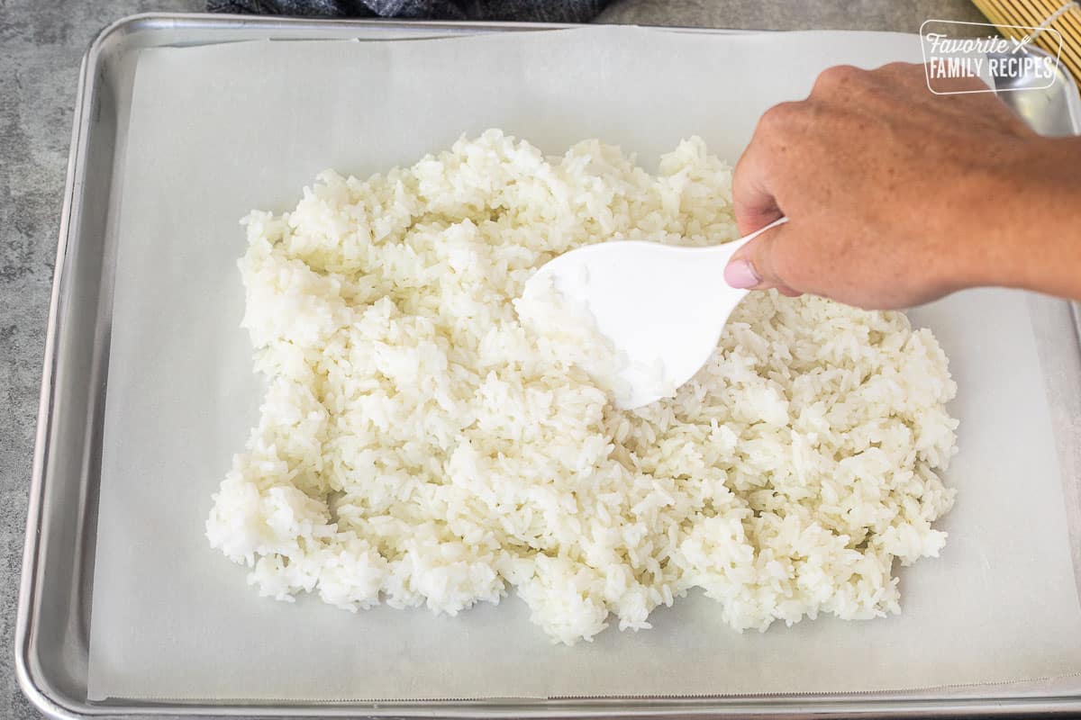 Spreading sushi rice on parchment paper with a paddle.