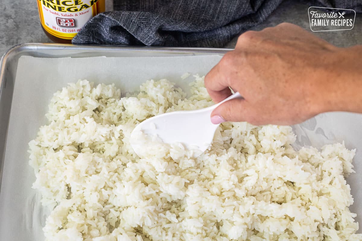 Mixing the Instant Pot Sushi Rice with vinegar using a paddle.