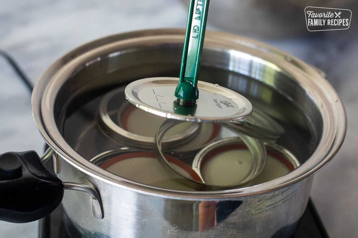 Lid lifter with lid over water in pan.