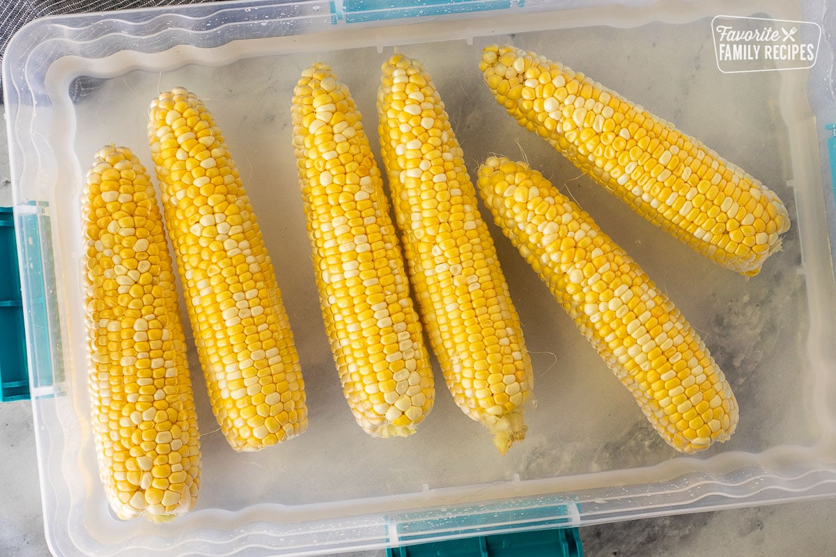 Husked ears of corn in a container of water.