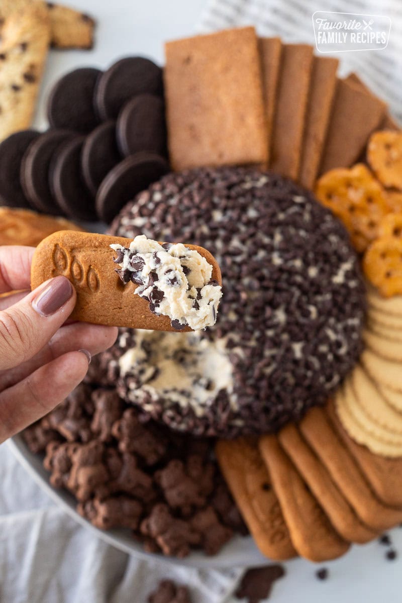 Hand holding up a cookie with Chocolate Chip Cheese Ball.