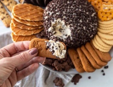 Hand holding a cookie with Chocolate Chip Cheese Ball.