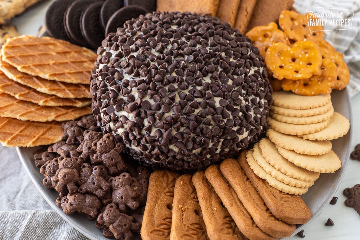 Chocolate Chip Cheese Ball on a plate with cookies and pretzels around.