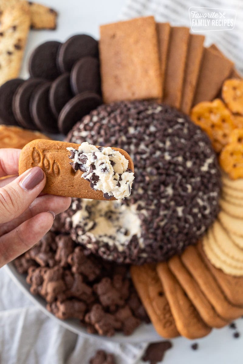 Hand holding up a cookie with Chocolate Chip Cheese Ball.